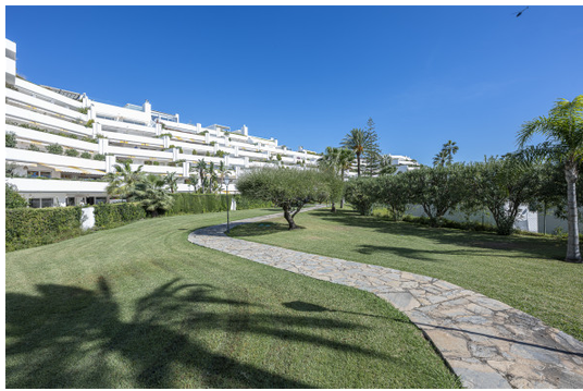 San Pedro Mar - Afbeelding 13