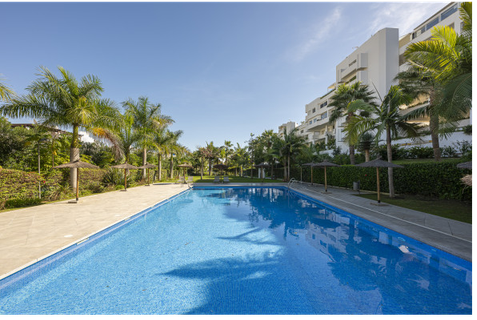 San Pedro Mar - Afbeelding 8