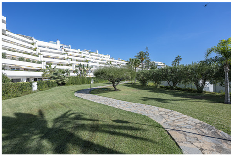 San Pedro Mar - Afbeelding 5