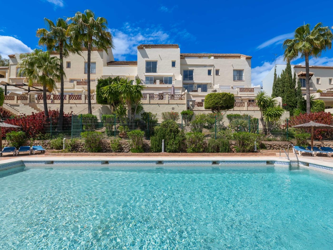 Cozy 3 BDRM Sunny Townhouse w BBQ and Pool image 3