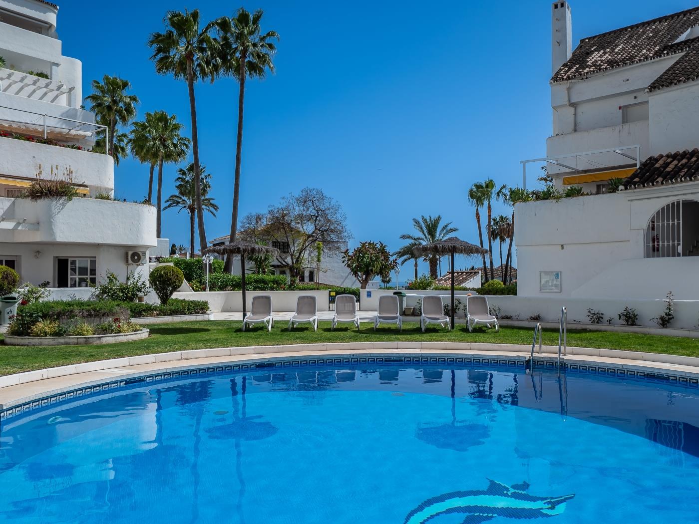 Extravagant Newly Renovated Penthouse w/ Sea Views image 4