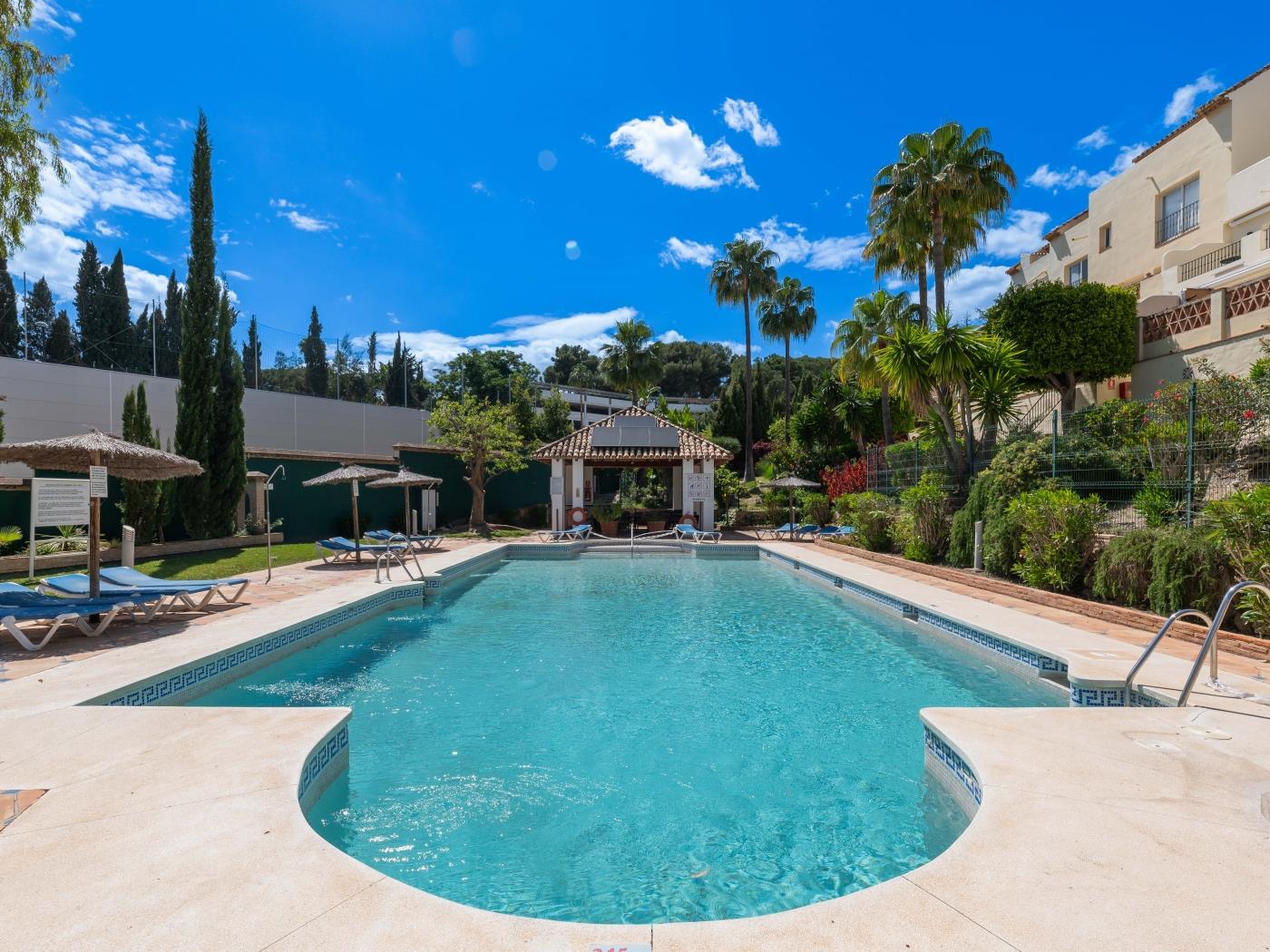 Cozy 3 BDRM Sunny Townhouse w BBQ and Pool image 5