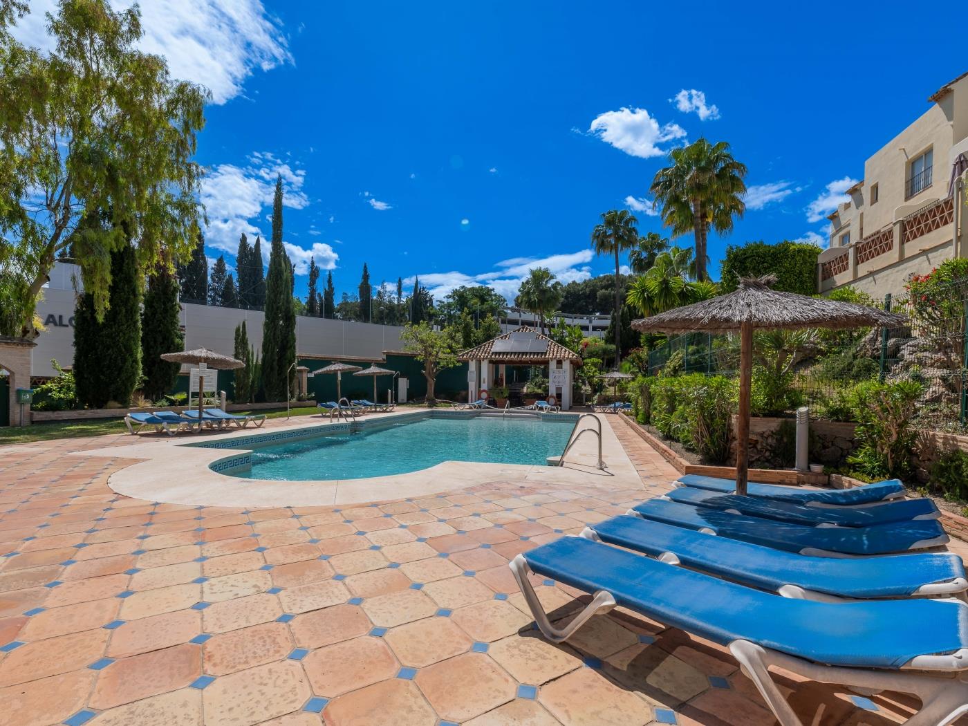 Cozy 3 BDRM Sunny Townhouse w BBQ and Pool image 7